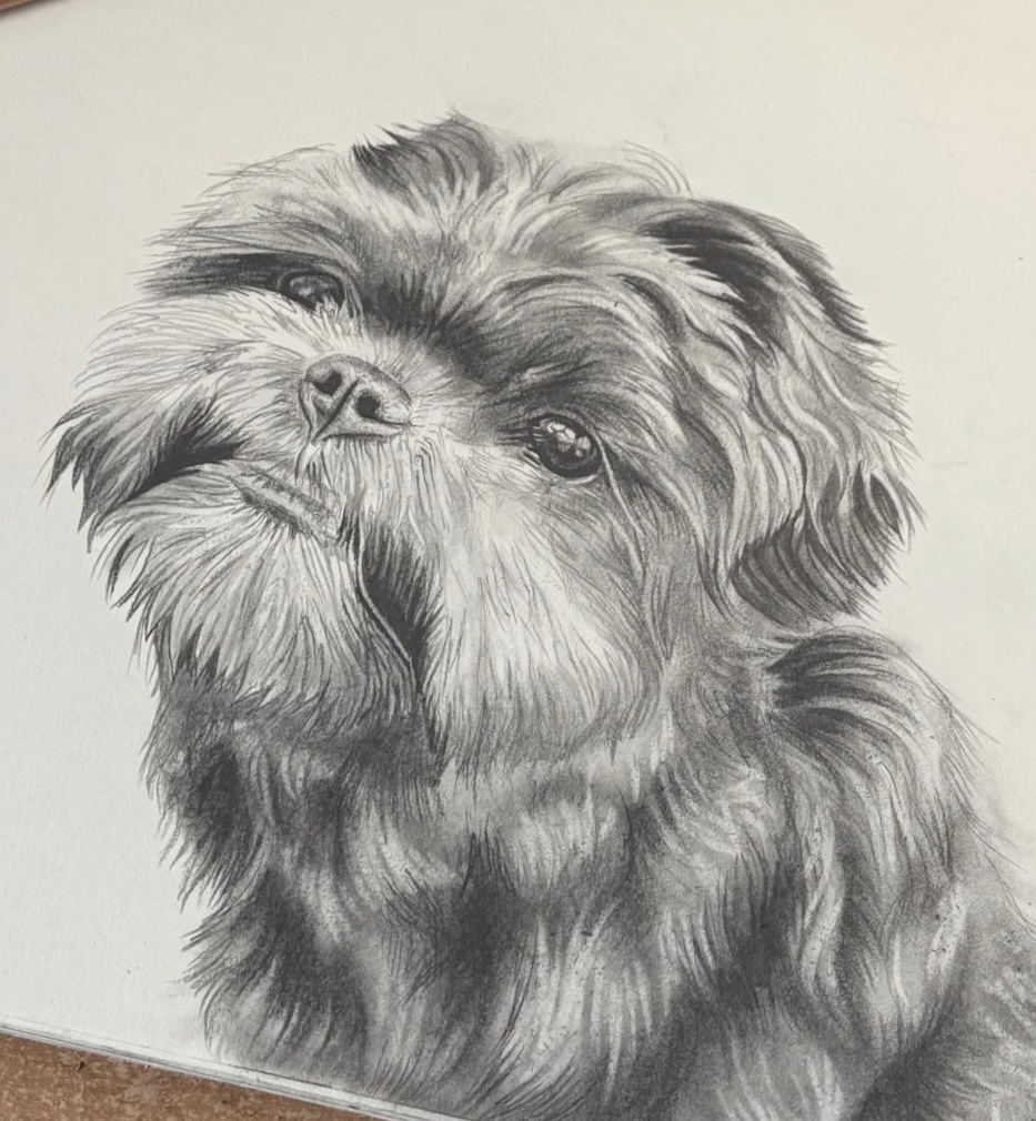 Dog Study