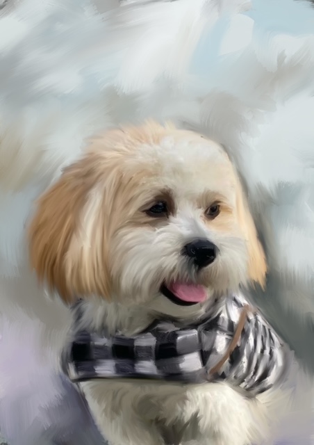 Dog Commission