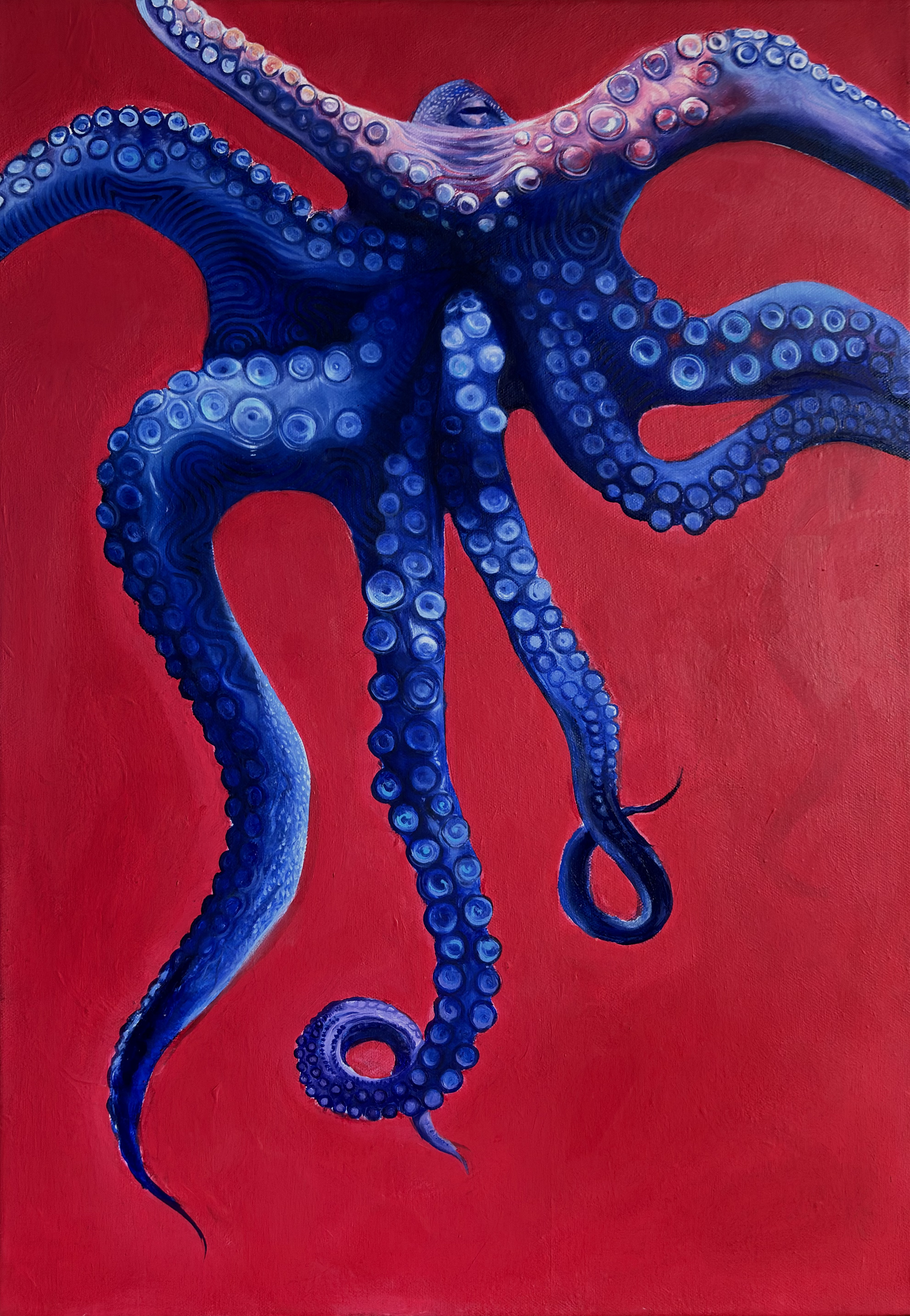 Octopus II
